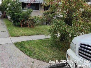 Morshida E.'s Grass Cutting service result