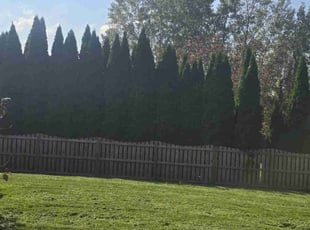 Claude G.'s Lawn Mowing service result