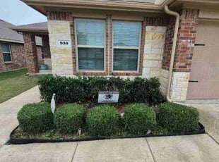 Bush Trimming by Carl Knight for Kevin M. in Fate, TX