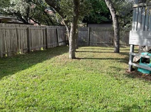 Miriah B.'s Lawn Mowing service result