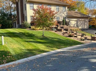 Leaf Removal by Spencer Mercer for Mark G. in Eagan, MN