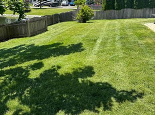 Tony N.'s Grass Cutting service result