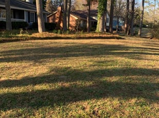 Leaf Removal by Kenneth Pope for Jolene n. in Marietta, GA
