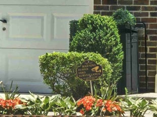 Bush Trimming by James Mckenzie for Krisa H. in Upper Marlboro, MD