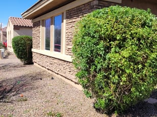 Cleanups by Raul Blanco for Ivis V. in Gilbert, AZ