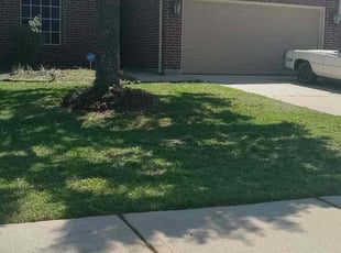 Andrea M.'s Lawn Maintenance service result