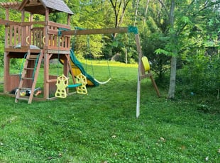 Irene R.'s Grass Cutting service result