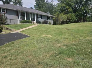 Jerry F.'s Lawn Mowing service result