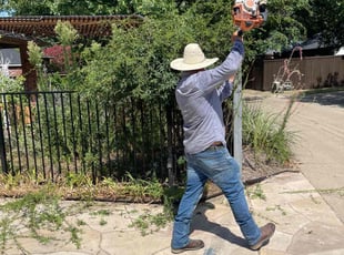 Bush Trimming by Alma Avila for Derek K. in Allen, TX