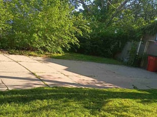 Bush Trimming by Drea Alice for Steven W. in Wichita, KS