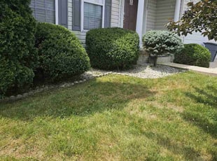Bush Trimming by David Williamson for Brenda F. in Abingdon, MD