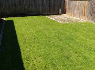 Anthony A.'s Lawn Mowing service result