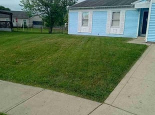 Ryan G.'s Lawn Mowing service result