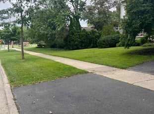 Onika M.'s Yard Cutting service result