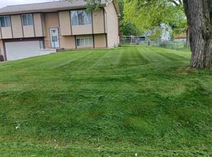Charles H.'s Lawn Care service result
