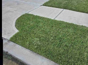 Georgianne G.'s Lawn Service service result