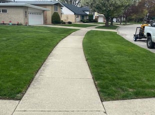 Graciela D.'s Yard Cutting service result