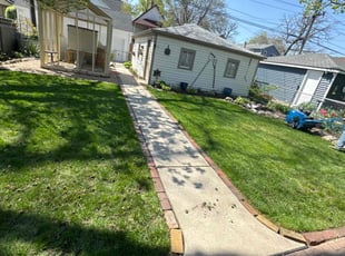 Andria T.'s Lawn Care service result