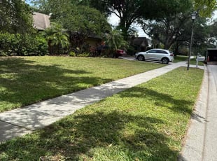 Joy T.'s Lawn Care service result