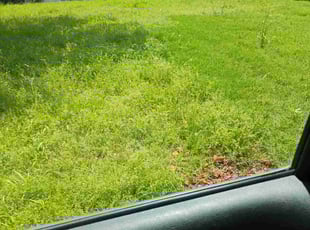 Weeding by Said Attaouil for Rebecca G. in Oklahoma City, OK