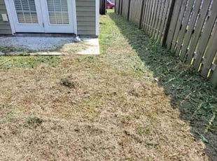 Derrick M.'s Lawn Service service result