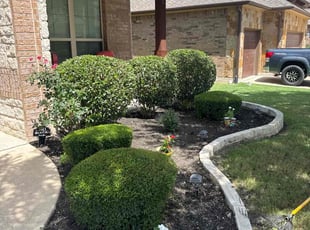 Bush Trimming by Noah Morrison for Jayne M. in Round Rock, TX