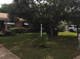 Marcy F.'s Grass Cutting service result
