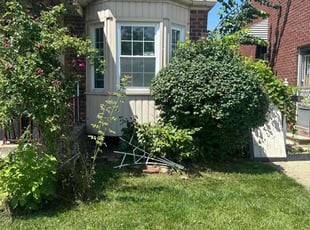 Bush Trimming by Tyler Miller for Jacquelyn N. in Detroit, MI