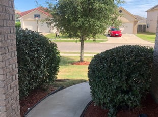 Bush Trimming by Javier Valle for Ashley C. in Katy, TX