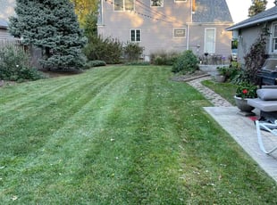Tim M.'s Lawn Service service result