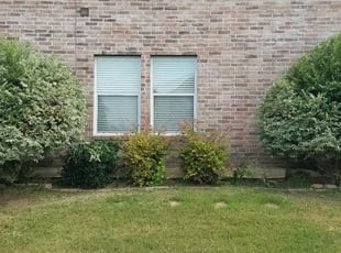 Bush Trimming by Jeffrey Brown for Manuel R. in Fort Worth, TX