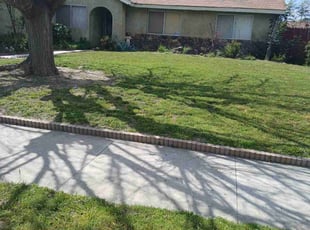 Rolla P.'s Lawn Service service result