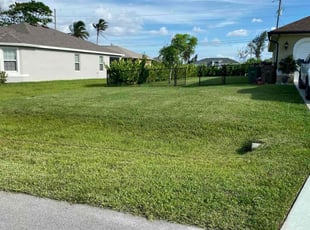 Audrea M.'s Lawn Mowing Service service result