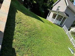 Sheron L.'s Lawn Care service result