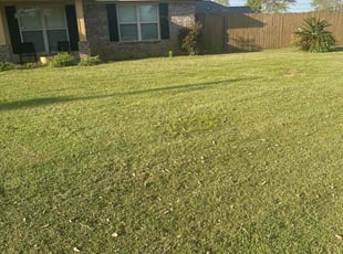 Theresa K.'s Lawn Service service result