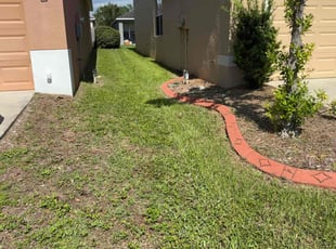 Bush Trimming by William Chavers for Corey F. in Ruskin, FL