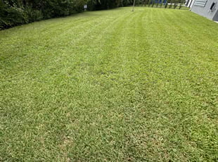 Shelly K.'s Lawn Care service result
