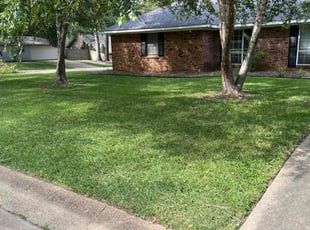 Steven L.'s Lawn Service service result