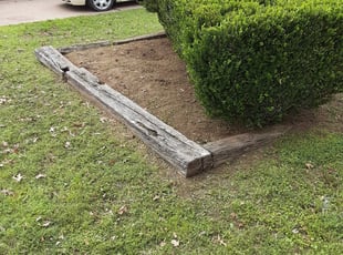 Weeding by Shelby Wooten for Iris S. in Fort Worth, TX