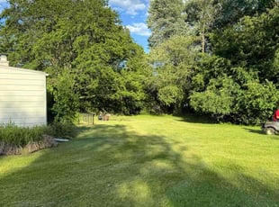 Jorge R.'s Lawn Service service result
