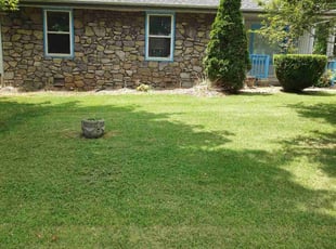 Brian S.'s Lawn Maintenance service result