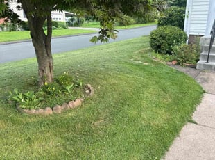 Tawana M.'s Lawn Mowing service result