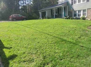Missy S.'s Lawn Service service result