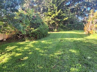 Rose G.'s Lawn Care service result