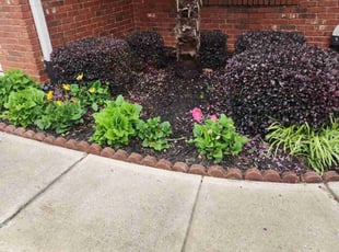 Bush Trimming by Carlos Wright for Christy W. in Lawrenceville, GA