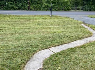 Natasha S.'s Lawn Service service result