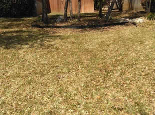 Cleanups by Rebecca Ferrara for Amy J. in San Antonio, TX