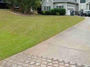 Paula S.'s Lawn Service service result
