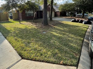 Leaf Removal by Alan Lara for Haley R. in Spring, TX
