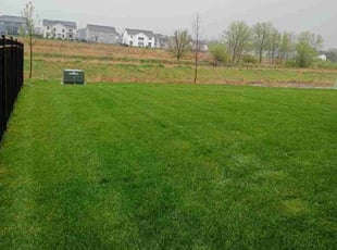 Steve M.'s Lawn Mowing service result